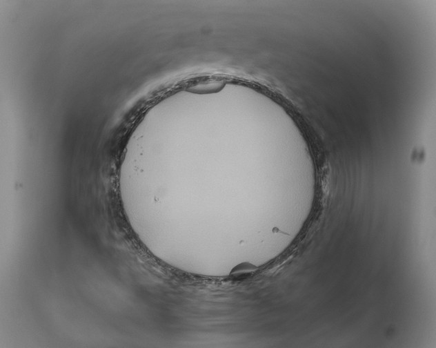 X0000111121495200907211038