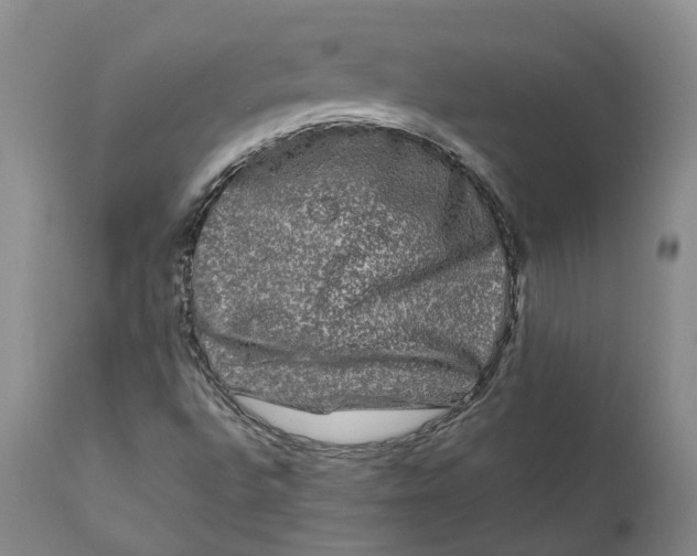 X0000111121496200907211038