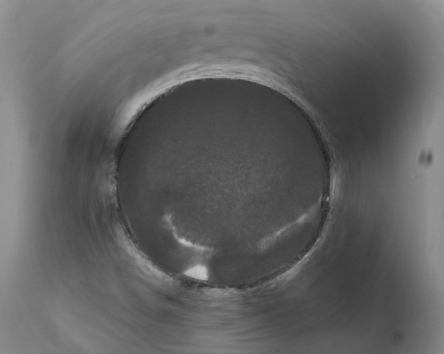 X0000111121498200907211038