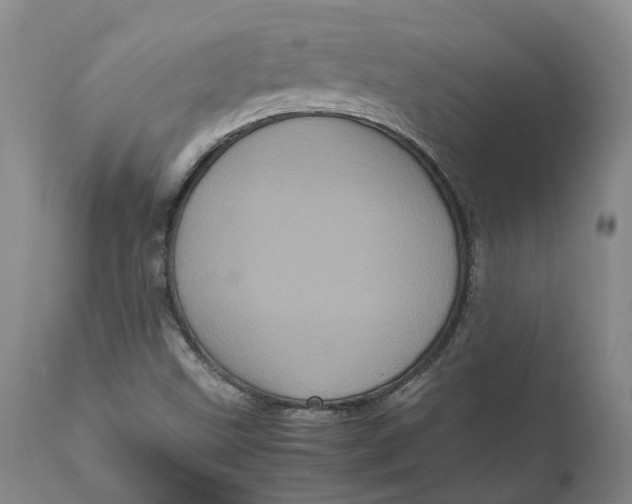 X0000111121499200907211038