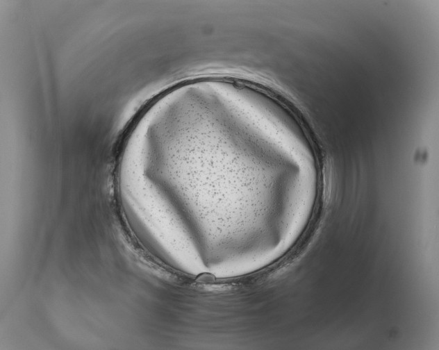 X0000111121501200907211038