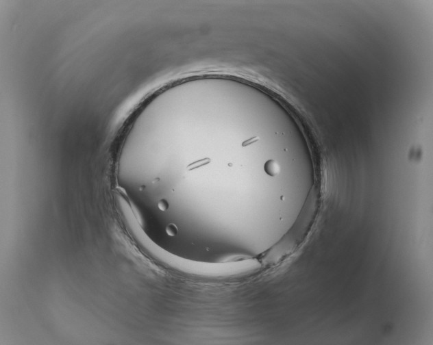 X0000111121502200907211038