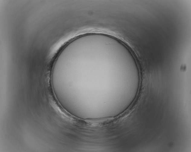 X0000111121503200907211038