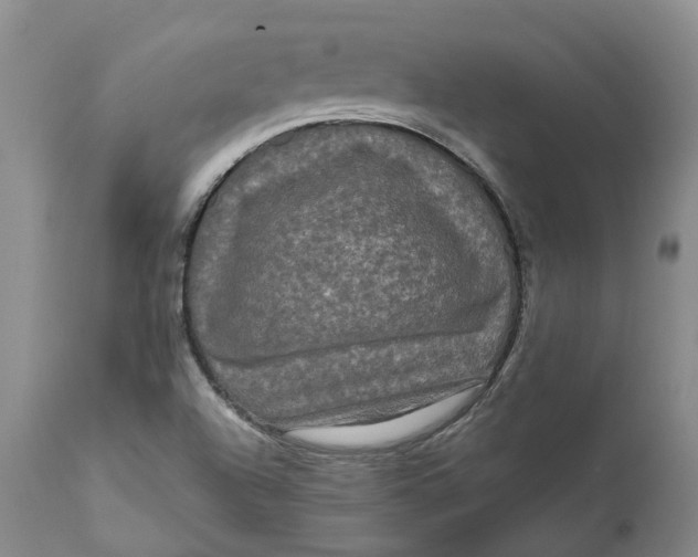 X0000111121504200907211038