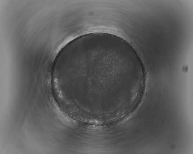 X0000111121505200907211038