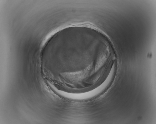 X0000111121506200907211038