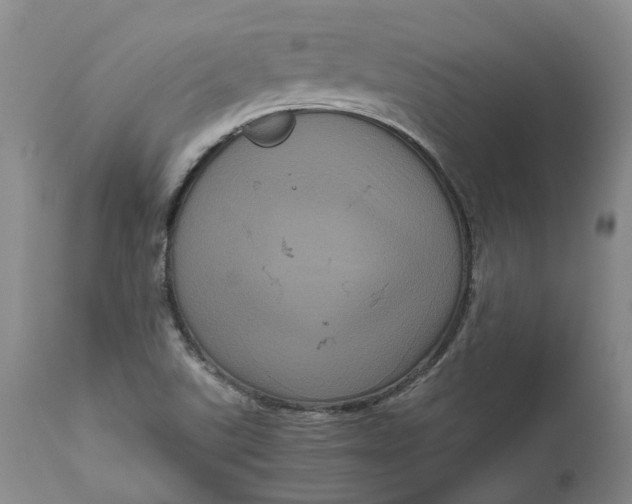 X0000111121507200907211038