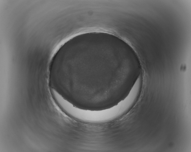 X0000111121508200907211038