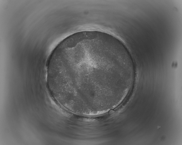 X0000111121509200907211038