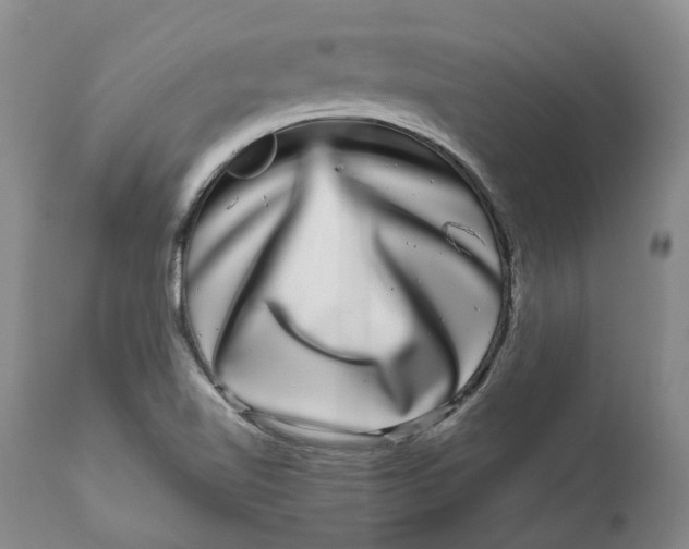 X0000111121510200907211038