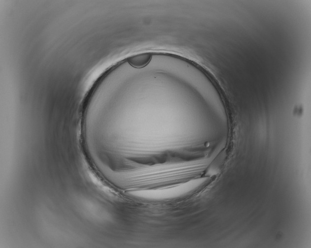 X0000111121511200907211038