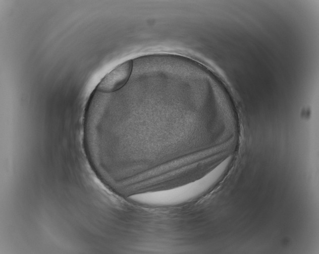 X0000111121512200907211038