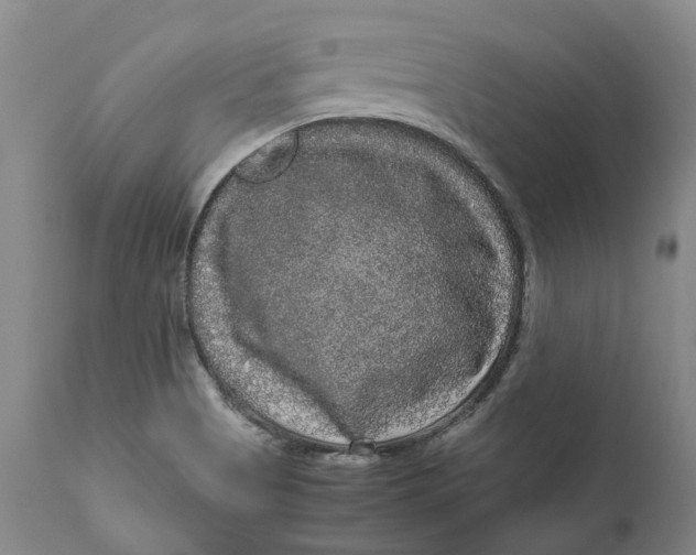 X0000111121513200907211038