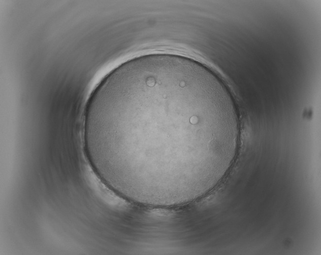 X0000111121514200907211038