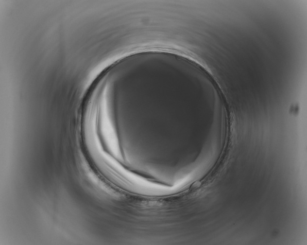 X0000111121515200907211038