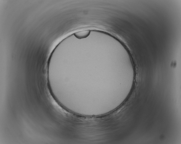 X0000111121516200907211038