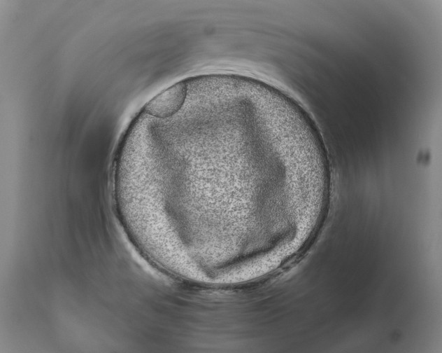 X0000111121517200907211038