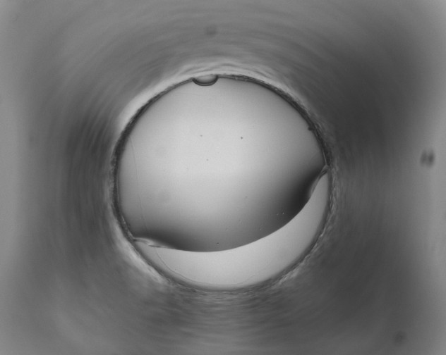 X0000111121518200907211038