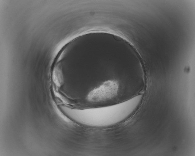 X0000111121519200907211038