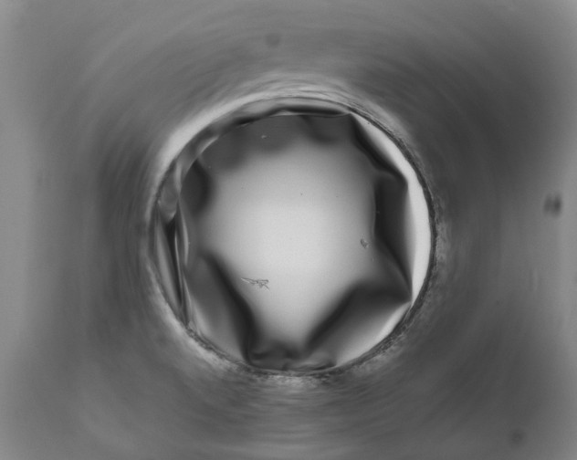 X0000111121520200907211038