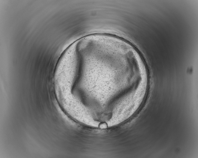 X0000111121521200907211038