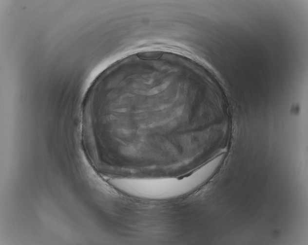 X0000111121522200907211038