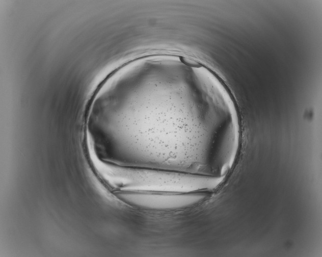 X0000111121523200907211038