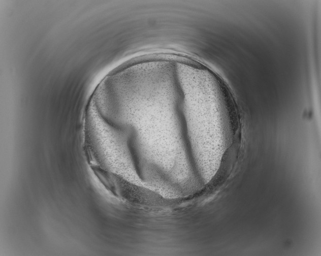 X0000111121524200907211038