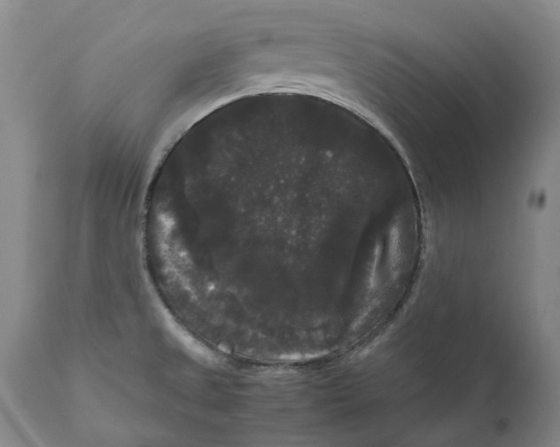 X0000111121525200907211038