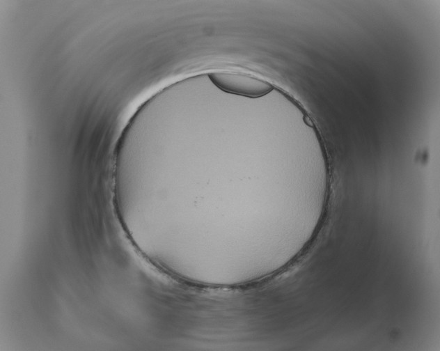 X0000111121526200907211038