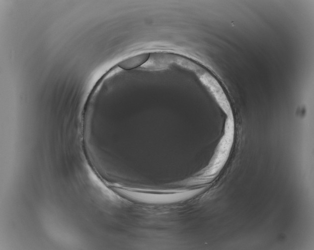 X0000111121527200907211038