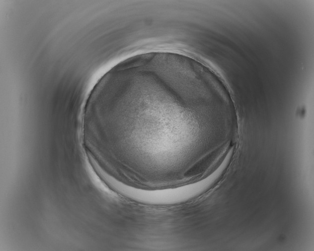 X0000111121528200907211038