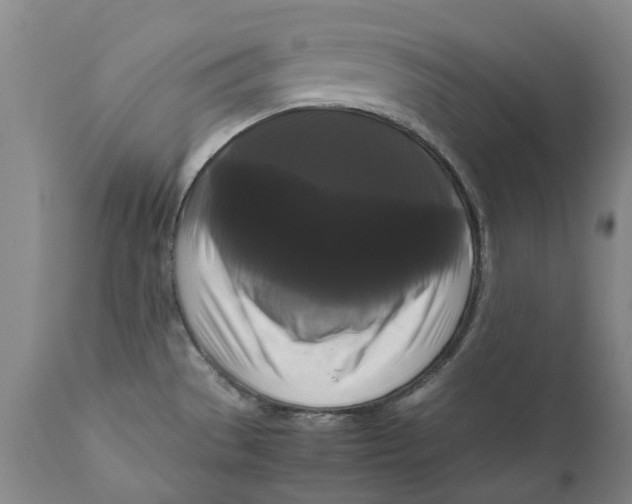 X0000111121529200907211038