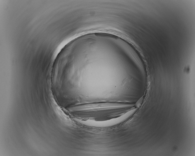 X0000111121530200907211038