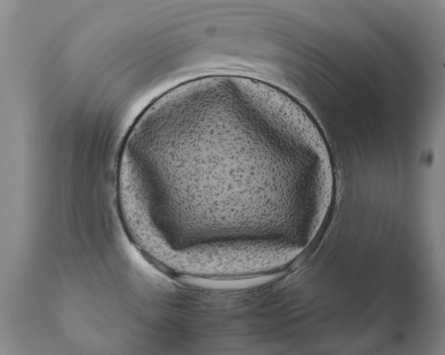 X0000111121531200907211038