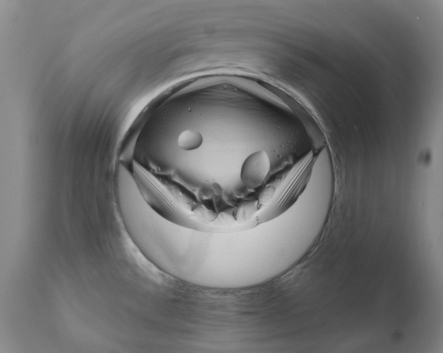 X0000111121532200907211038