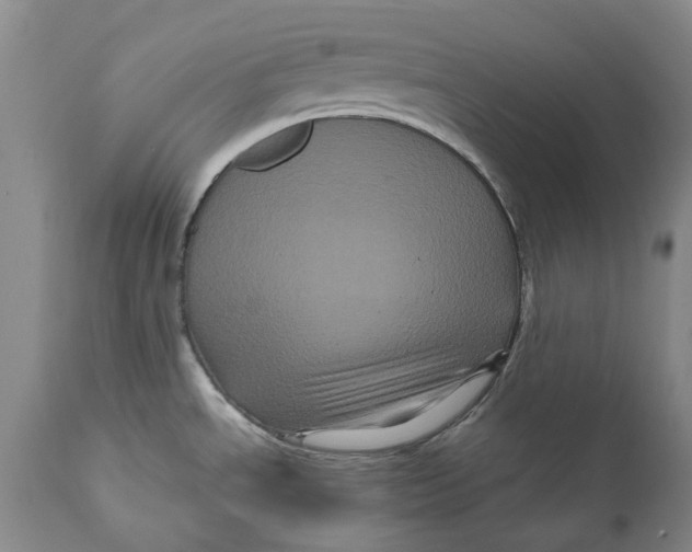 X0000111121534200907211038