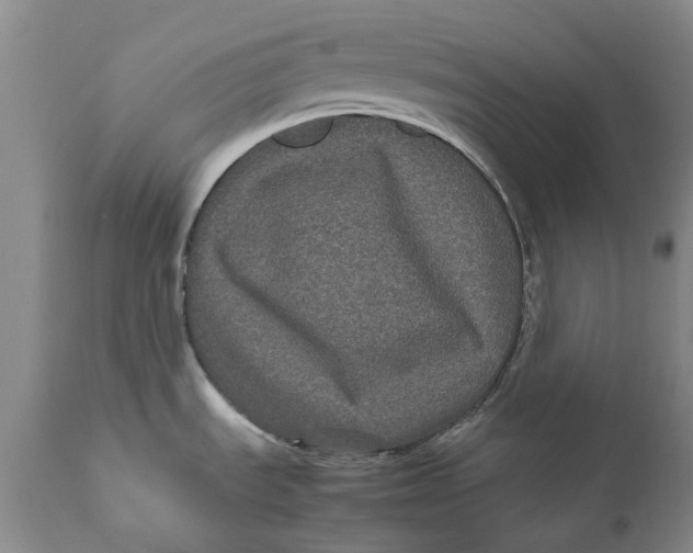 X0000111121535200907211038