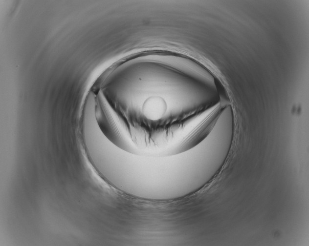 X0000111121536200907211038