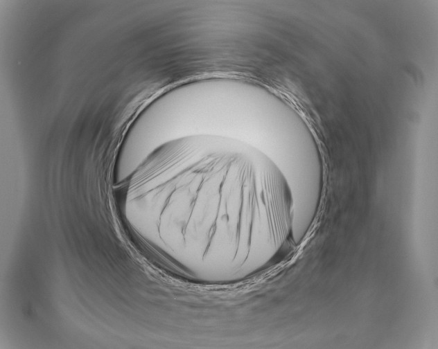 X0000111120001200907281039