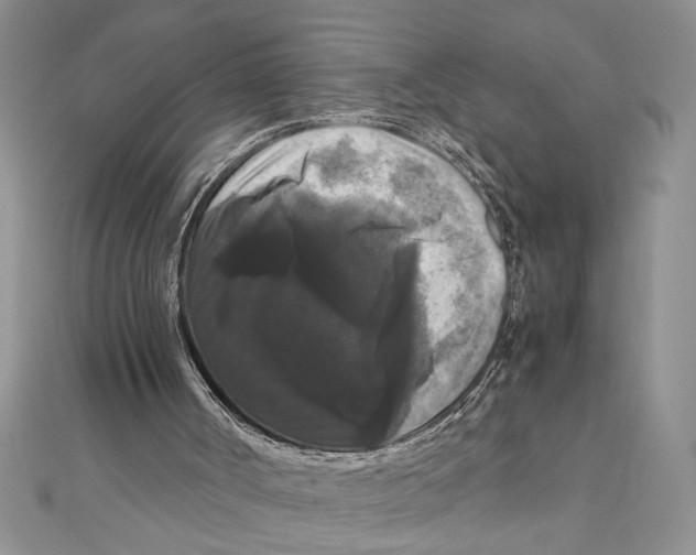 X0000111120002200907281039