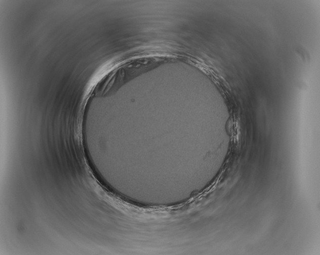X0000111120004200907281039