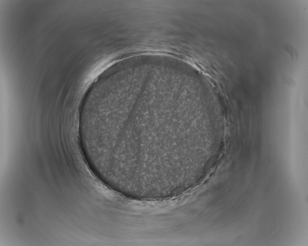 X0000111120005200907281039