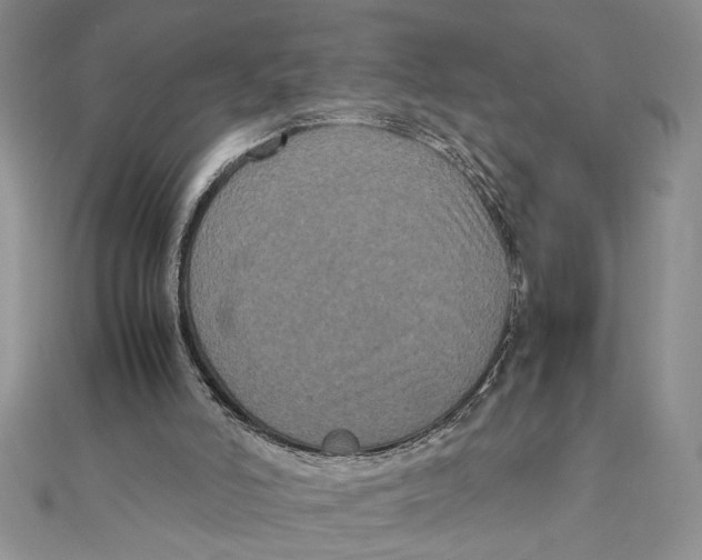 X0000111120006200907281039