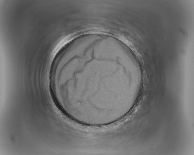 X0000111120007200907281039
