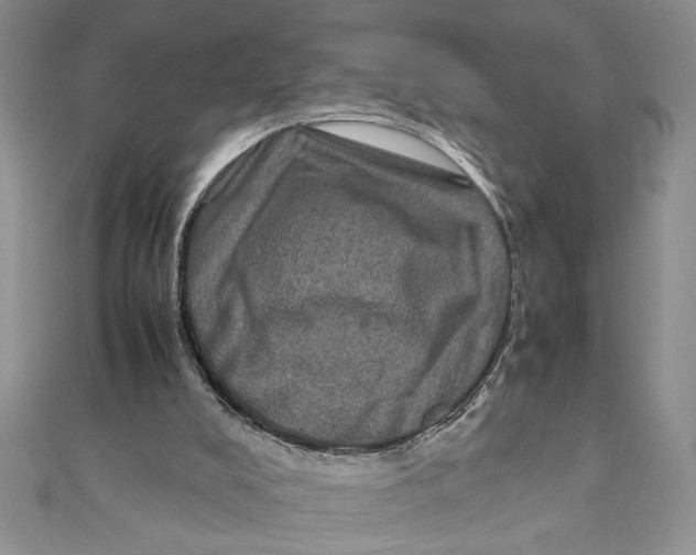 X0000111120008200907281039