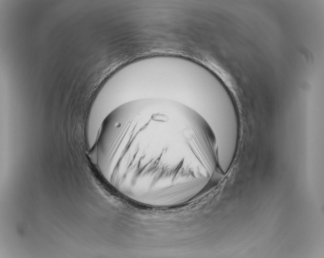 X0000111120009200907281039