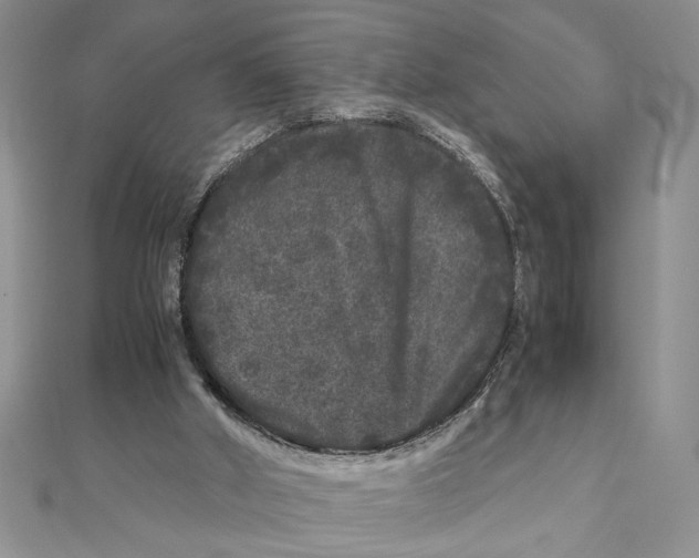 X0000111120010200907281039