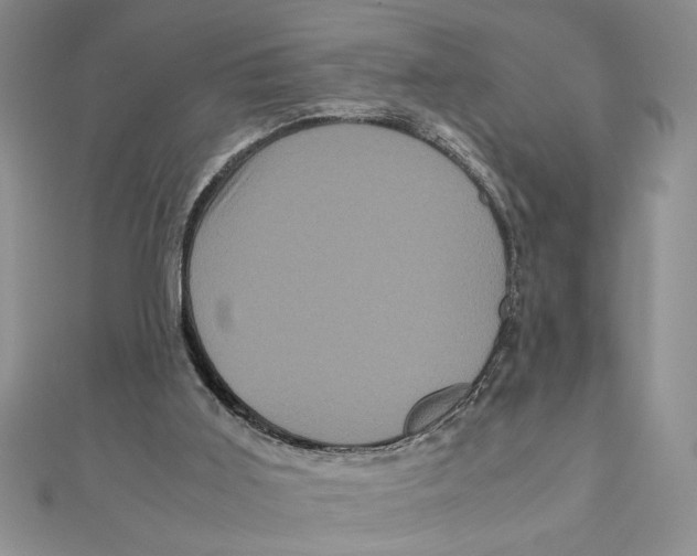 X0000111120011200907281039