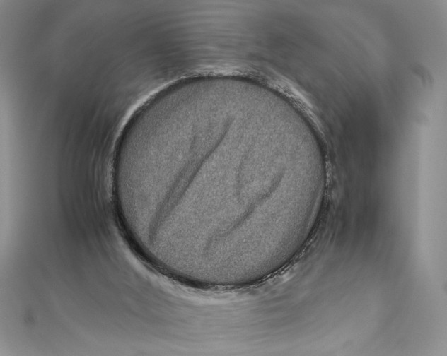 X0000111120012200907281039